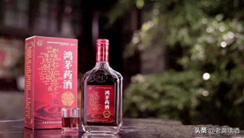 十大绝版药酒排名前十(调理脾胃的十大药酒)插图5