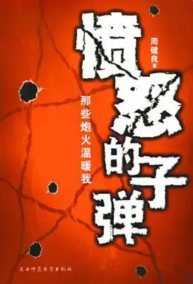 排名前十的军旅小说(军旅强兵小说)插图5