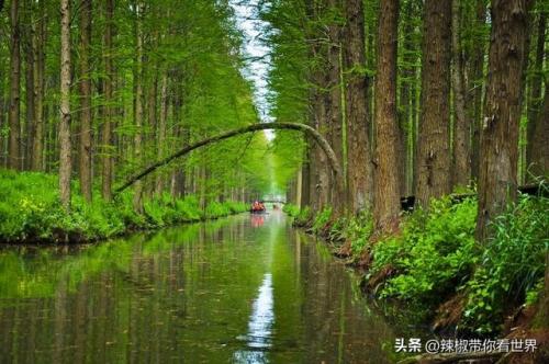 泰州古迹景点排名前十(泰州人文景点排名前十)插图13