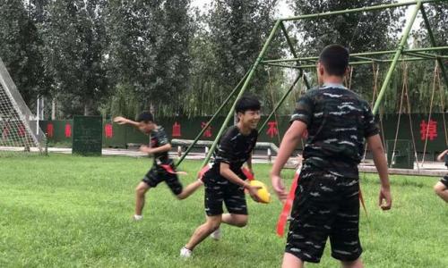 威海集训机构排名前十(威海古典舞艺考集训学校)插图2