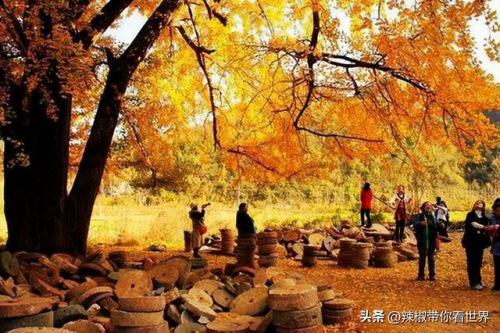 泰州古迹景点排名前十(泰州人文景点排名前十)插图22