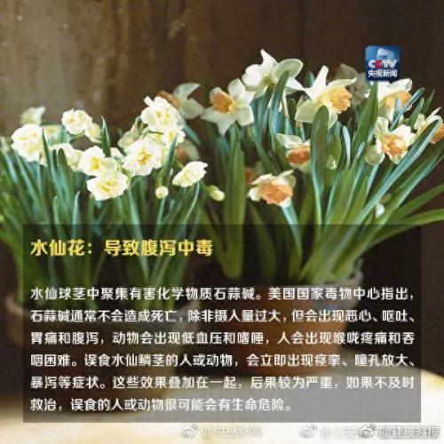 养合元是什么(养合元是什么东西呀)插图8