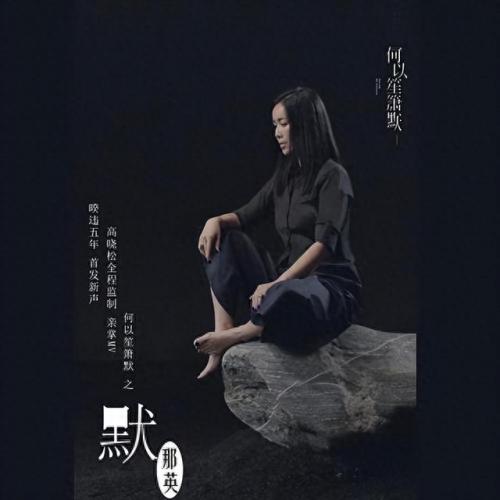 中国前偶像歌手排名前十(中国大陆最新歌手排名前十)插图21