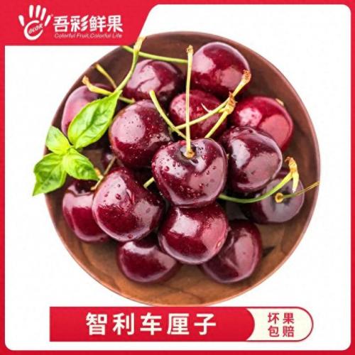 车厘子在水果上排名前十(车厘子跟什么水果相似)插图10