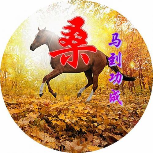 百家姓qq头像(百家姓头像大全真实图)插图76