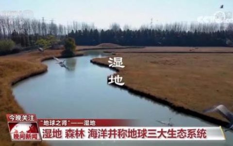 湿地又叫什么名字(湿地美称是什么)
