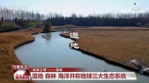 湿地又叫什么名字(湿地美称是什么)插图