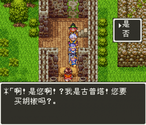 fc勇者斗恶龙3全攻略(fc勇者斗恶龙3升级最佳地点)插图11