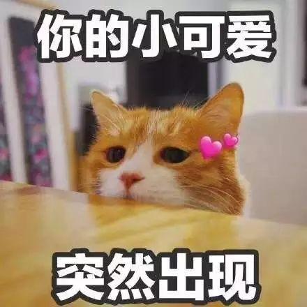 中国新声代第五期(中国新声代第四季全集免费)插图3