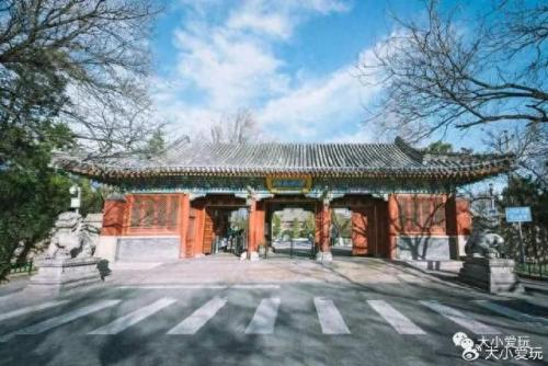 最有味道的大学排名前十(心理学排名前十的大学)插图23