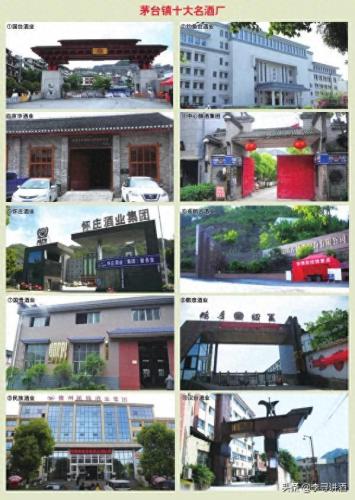 茅台景区排名前十(茅台各省销量排名)插图