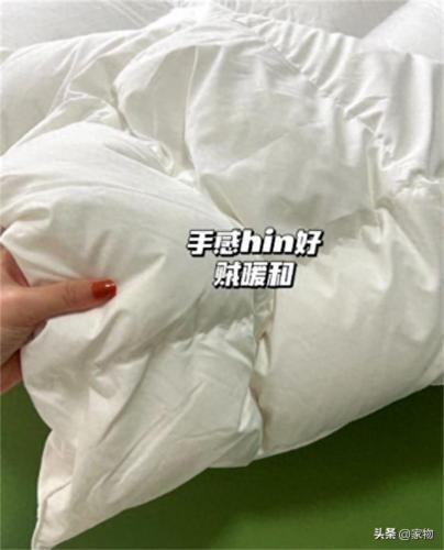 棉被图片(100%纯棉新疆棉被)插图4