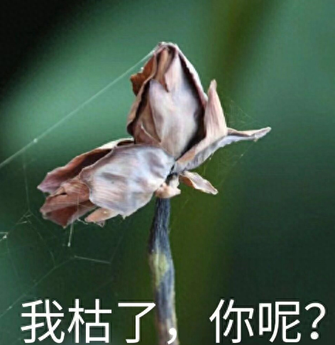 守卫剑阁1.29终结版(守卫剑阁v1.92)插图1