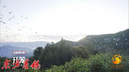 太阳鸟公棚秋棚大(2012年太阳鸟公棚决赛前十名)插图16