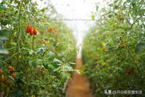 揭阳药厂排名前十(广东制药厂的排名)插图9
