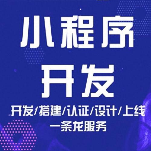 小程序系统开发排名前十(小程序开发公司排行榜前十名)插图