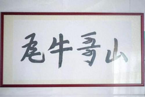 顺德火锅排名前十(大良最正宗火锅)插图38