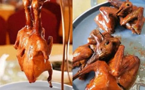 鸽子销售排名前十(鸽子直播销售第一名)