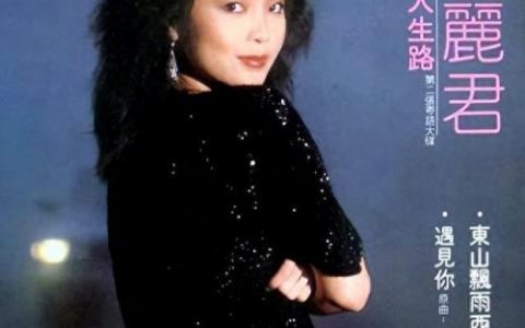 日语神曲排名前十(全球十大洗脑日语神曲)