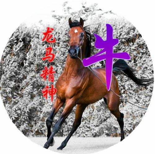 百家姓qq头像(百家姓头像大全真实图)插图79