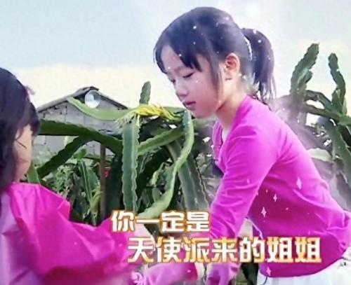 爸爸去哪儿第四季什么时候开播(爸爸去哪儿第四季在哪里看)插图53