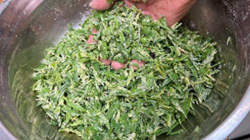 笤帚菜(扫帚菜的功效和作用)插图6