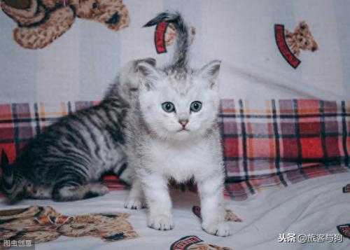 楚慈的腰是什么梗(楚慈到底喜欢韩越吗)插图1