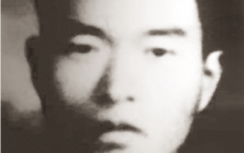 王子清(王子清女演员)