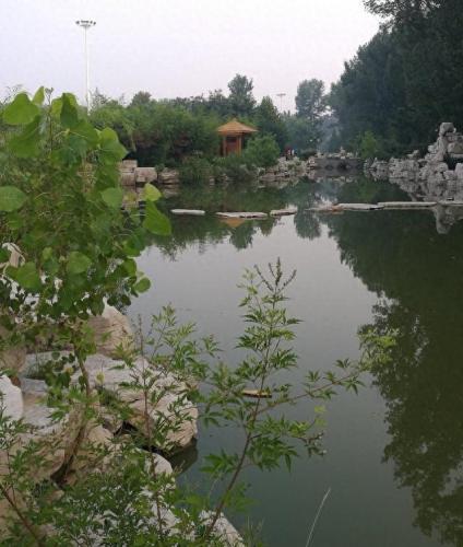 高密高考排名前十(高密初中排名)插图8