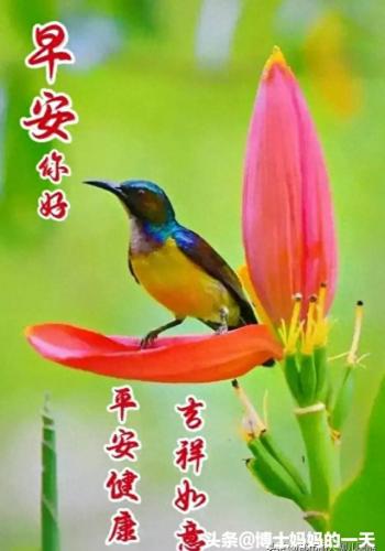 平安顺遂一般送给谁的(平安顺遂图片)插图15