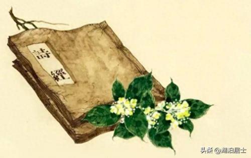 有情有趣全集(网剧有情有趣免费)插图8