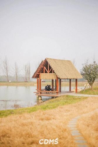 成都十陵镇小吃排名前十(成都十大排名小吃)插图67