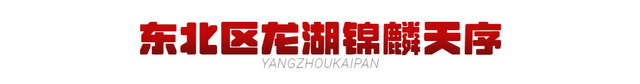 扬州乡村豪宅排名前十(亚洲十大豪宅扬州)插图19