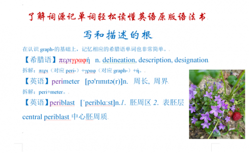describe名词(describe是什么意思)插图4