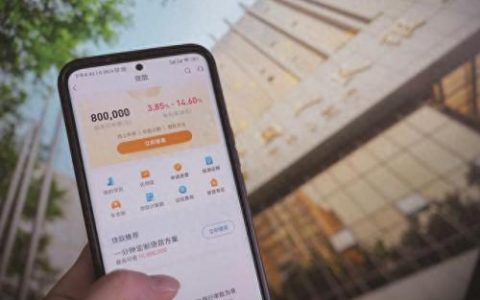 信贷额度排名前十(信贷哪个额度高)