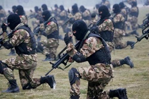 中国特种兵狙击排名前十(特种兵荒岛狙击)插图15