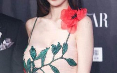 肚兜电影(成年人适合看的3d片惊悚片)