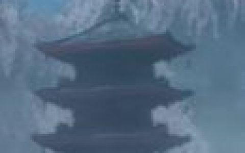 只狼源之宫与水生村剧情分析(只狼影逝二度剧情详细解析)
