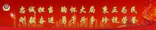 平安 好声音(平安参加中国好声音第一季)插图2