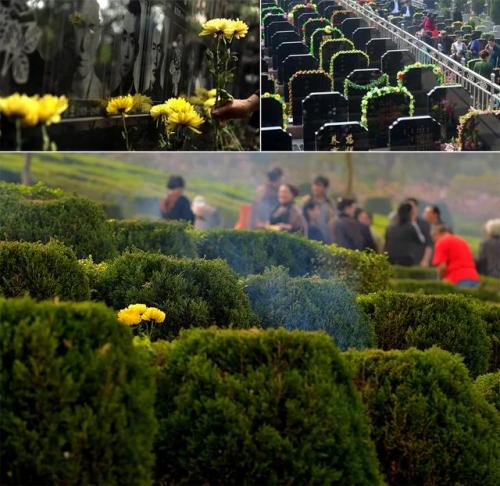 一年级清明节美术(清明节100张图片)插图1