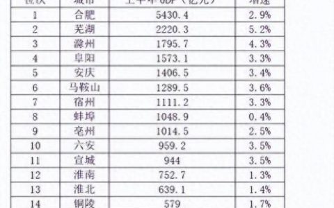 芜湖经济排名前十(芜湖 综合 实力 排名)