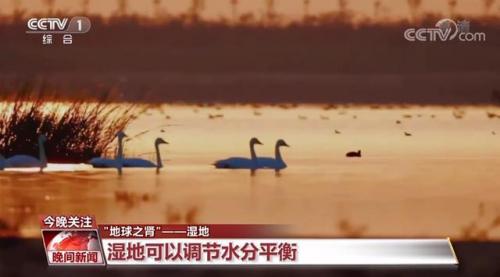 湿地又叫什么名字(湿地美称是什么)插图1