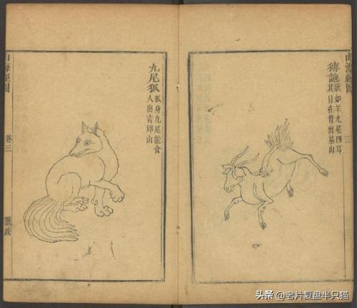 英雄联盟九尾狐(红蝶的隐藏皮肤九尾狐)插图12