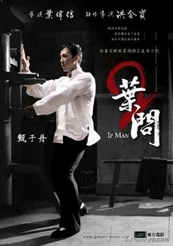 《功夫》电影排名前十(功夫电影十大排名)插图8