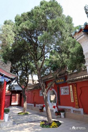 甘谷县寺庙排名前十(泗洪寺庙排名)插图5