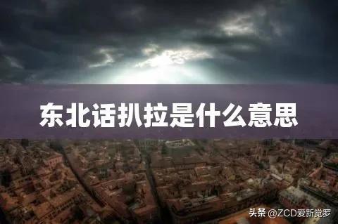 扒拉是什么意思(扒拉我是什么梗)插图