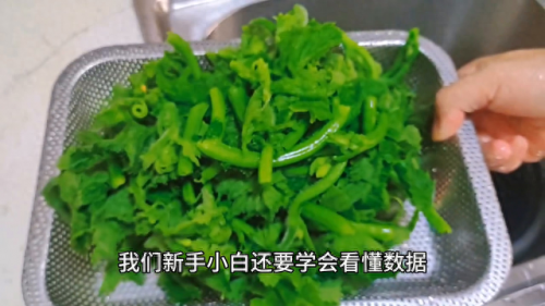 标准流量排名前十(移动漫游流量收费标准)插图1