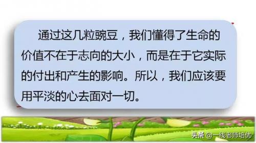 豌怎么组词-(豌可以怎么组词语)插图34