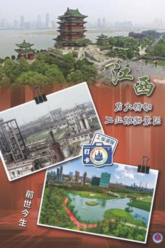 这里布满灰尘(哈利波特这里堆满了灰尘)插图
