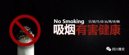 焦油量(焦油量低的香烟)插图